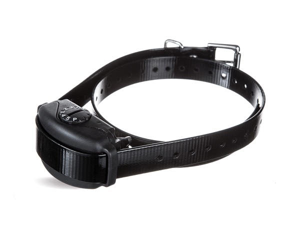 DogWatch of North Central West Virginia, Morgantown, West Virginia | BarkCollar No-Bark Trainer Product Image